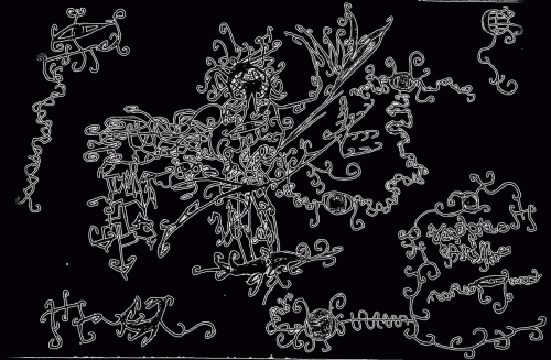 Tenebrae Animae : Tenebrae Animae